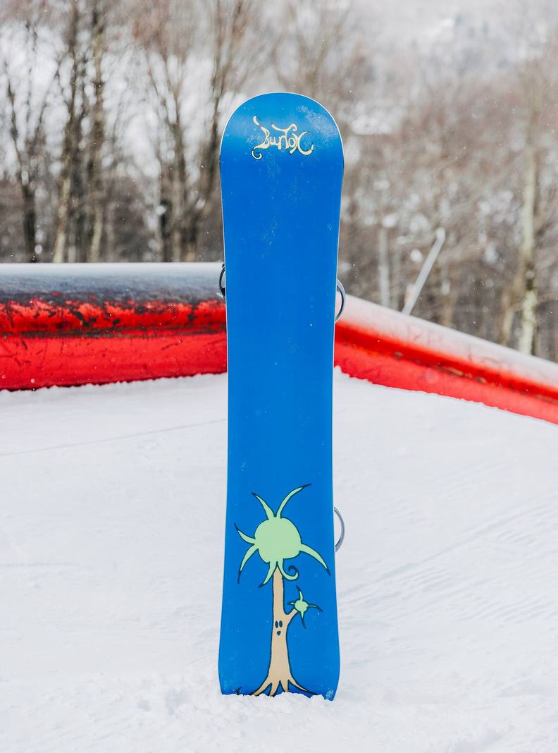 Burton Blossom Camber Snowboardy Panske | 92706-RISJ