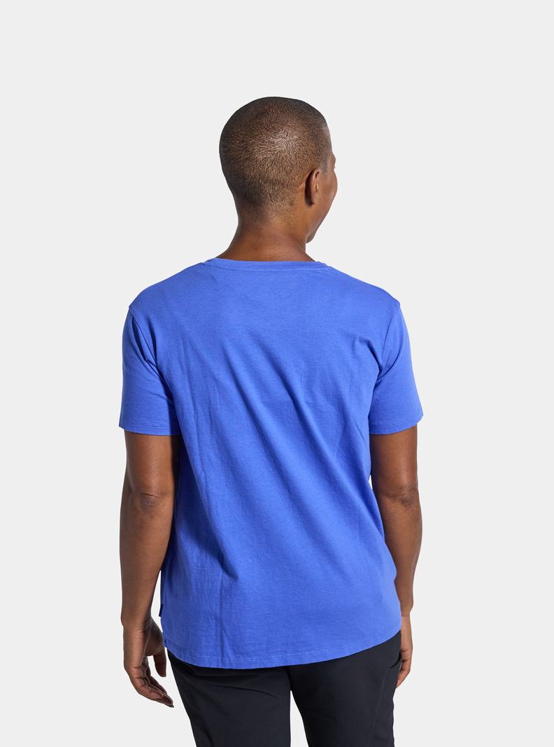 Burton Colfax Kratke Sleeve Tričko Damske Modre | 40375-BSQT