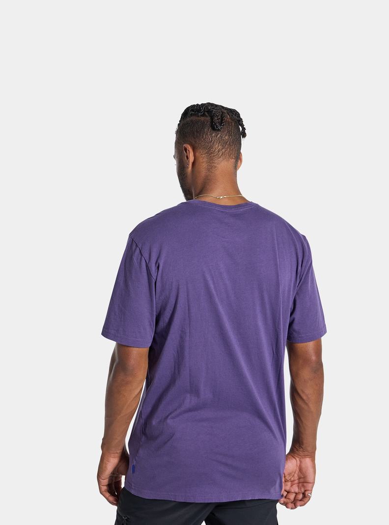 Burton Colfax Kratke Sleeve Tričko Panske Nachový | 81620-RVBM